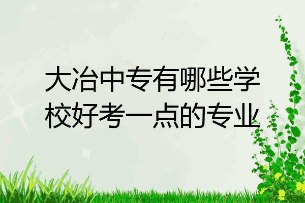 大冶中专有哪些学校好考一点的专业