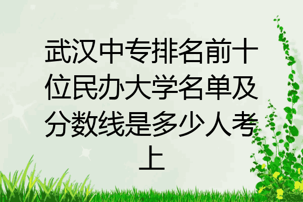 武汉中专排名前十位民办大学名单及分数线是多少人考上