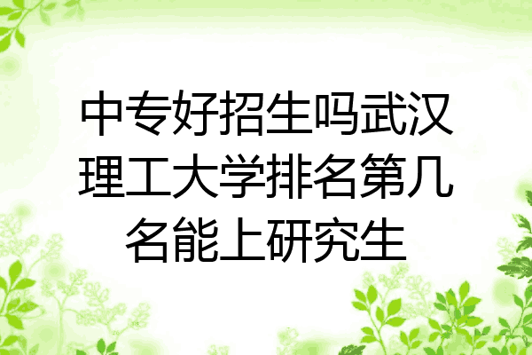 中专好招生吗武汉理工大学排名第几名能上研究生