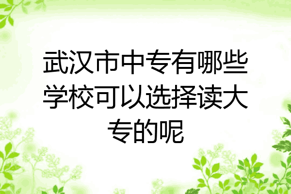 武汉市中专有哪些学校可以选择读大专的呢