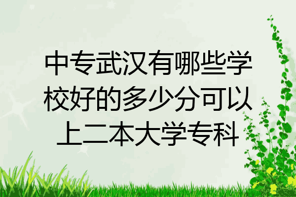 中专武汉有哪些学校好的多少分可以上二本大学专科