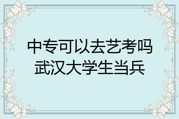 中专可以去艺考吗武汉大学生当兵