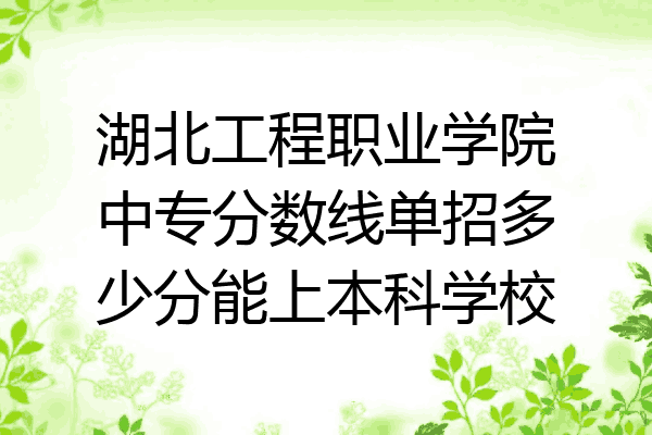 湖北工程职业学院中专分数线单招多少分能上本科学校