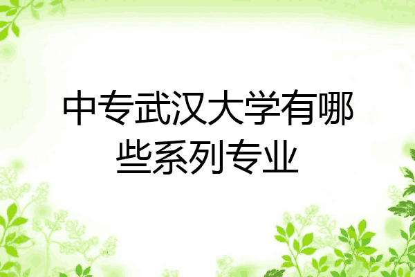 中专武汉大学有哪些系列专业