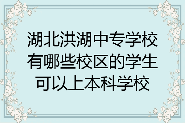湖北洪湖中专学校有哪些校区的学生可以上本科学校