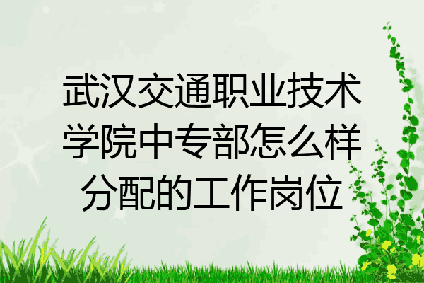 武汉交通职业技术学院中专部怎么样分配的工作岗位