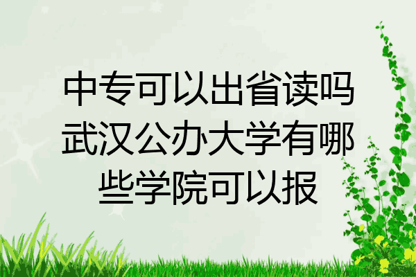中专可以出省读吗武汉公办大学有哪些学院可以报