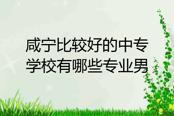 咸宁比较好的中专学校有哪些专业男