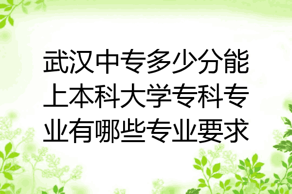 武汉中专多少分能上本科大学专科专业有哪些专业要求