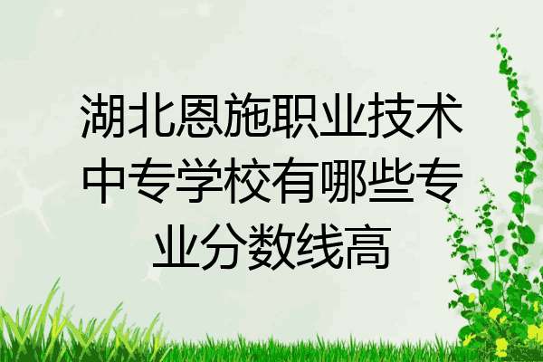 湖北恩施职业技术中专学校有哪些专业分数线高