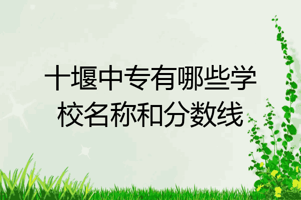 十堰中专有哪些学校名称和分数线