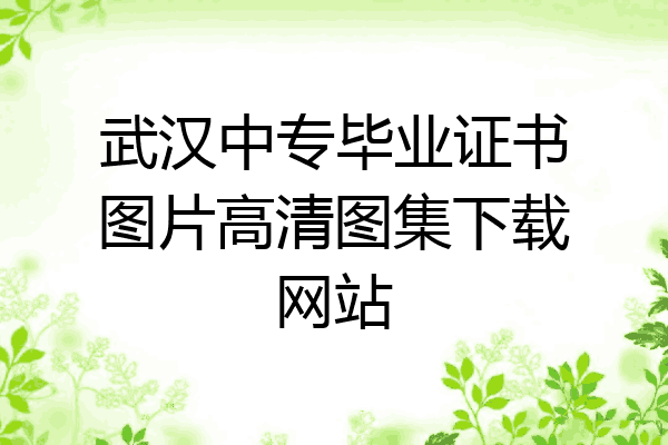 武汉中专毕业证书图片高清图集下载网站
