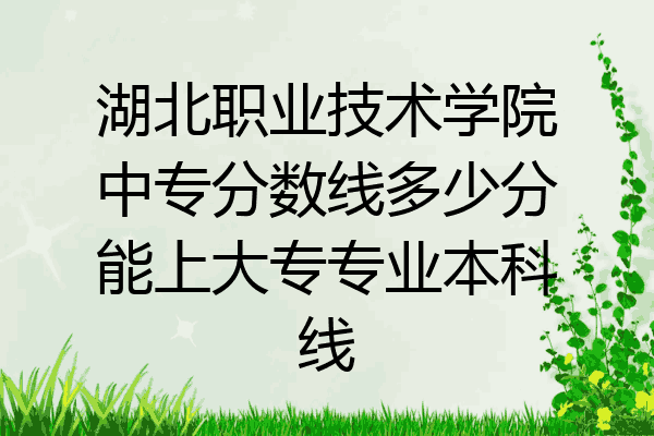 湖北职业技术学院中专分数线多少分能上大专专业本科线