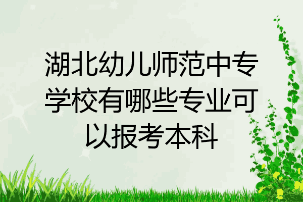 湖北幼儿师范中专学校有哪些专业可以报考本科