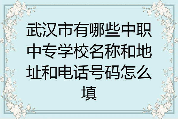 武汉市有哪些中职中专学校名称和地址和电话号码怎么填