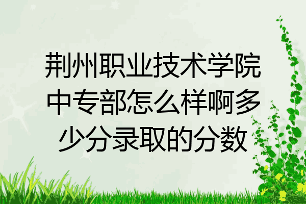 荆州职业技术学院中专部怎么样啊多少分录取的分数