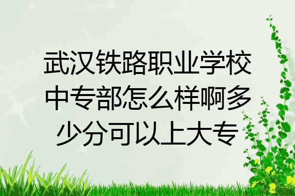 武汉铁路职业学校中专部怎么样啊多少分可以上大专