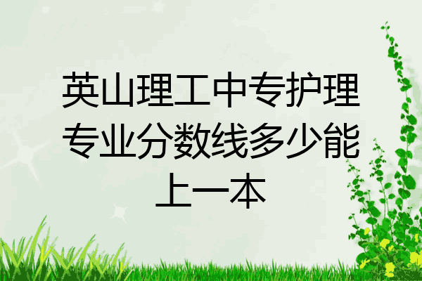 英山理工中专护理专业分数线多少能上一本