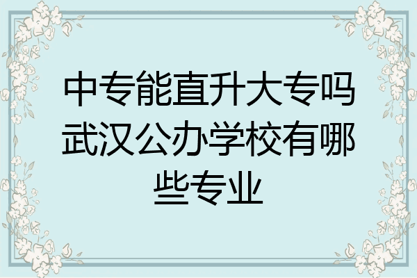 中专能直升大专吗武汉公办学校有哪些专业