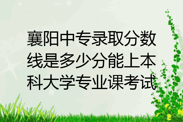 襄阳中专录取分数线是多少分能上本科大学专业课考试
