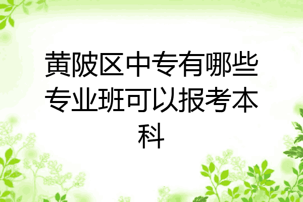 黄陂区中专有哪些专业班可以报考本科