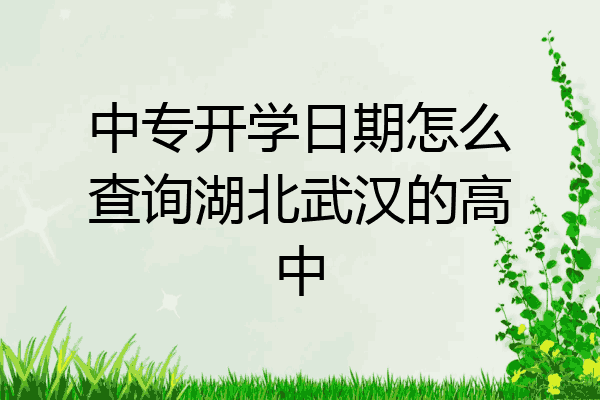 中专开学日期怎么查询湖北武汉的高中