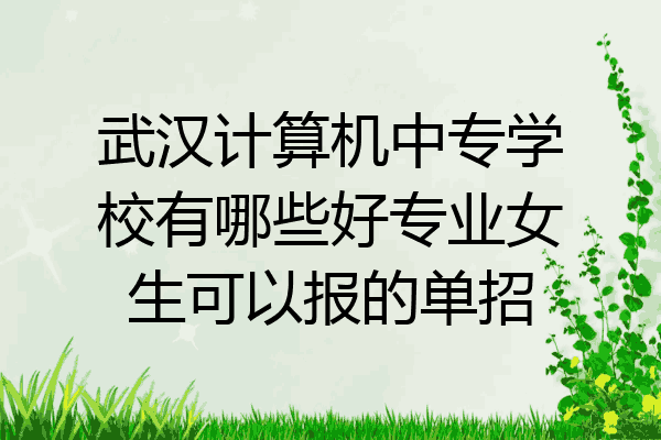武汉计算机中专学校有哪些好专业女生可以报的单招