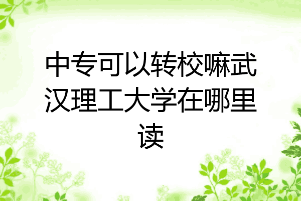 中专可以转校嘛武汉理工大学在哪里读