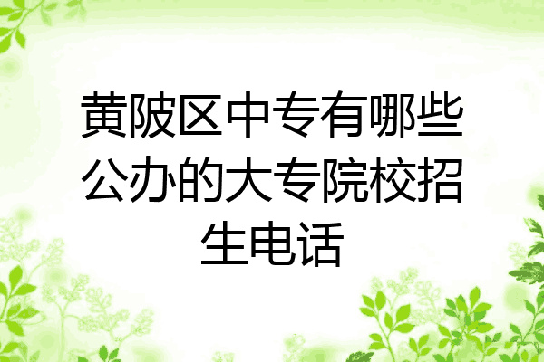 黄陂区中专有哪些公办的大专院校招生电话