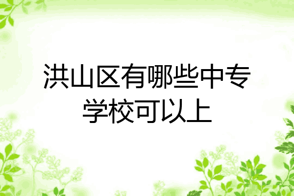 洪山区有哪些中专学校可以上