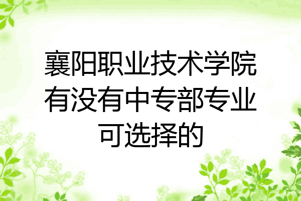 襄阳职业技术学院有没有中专部专业可选择的