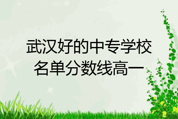 武汉好的中专学校名单分数线高一