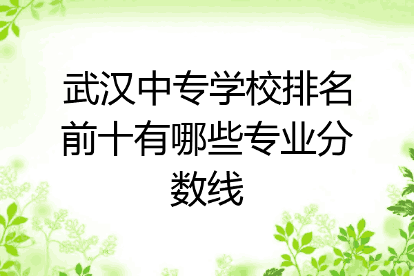 武汉中专学校排名前十有哪些专业分数线