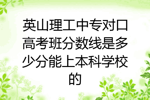 英山理工中专对口高考班分数线是多少分能上本科学校的