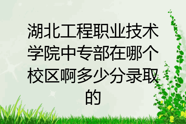 湖北工程职业技术学院中专部在哪个校区啊多少分录取的