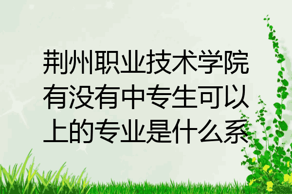 荆州职业技术学院有没有中专生可以上的专业是什么系