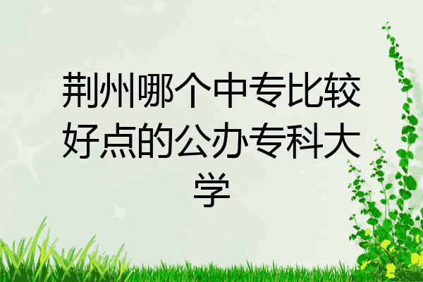 荆州哪个中专比较好点的公办专科大学