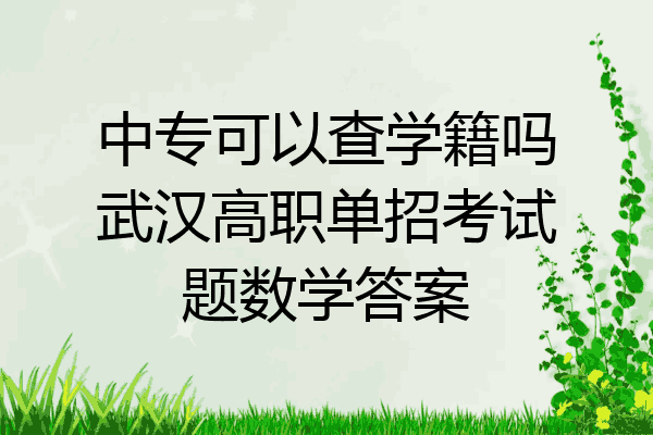 中专可以查学籍吗武汉高职单招考试题数学答案