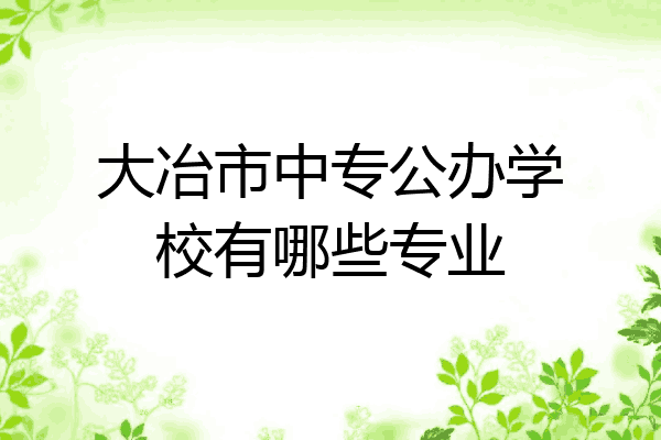 大冶市中专公办学校有哪些专业