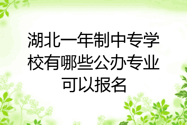 湖北一年制中专学校有哪些公办专业可以报名