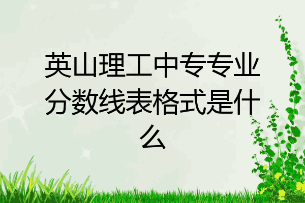 英山理工中专专业分数线表格式是什么