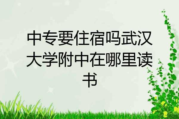 中专要住宿吗武汉大学附中在哪里读书