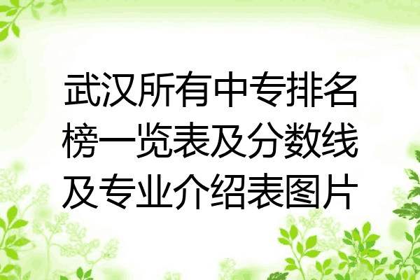武汉所有中专排名榜一览表及分数线及专业介绍表图片
