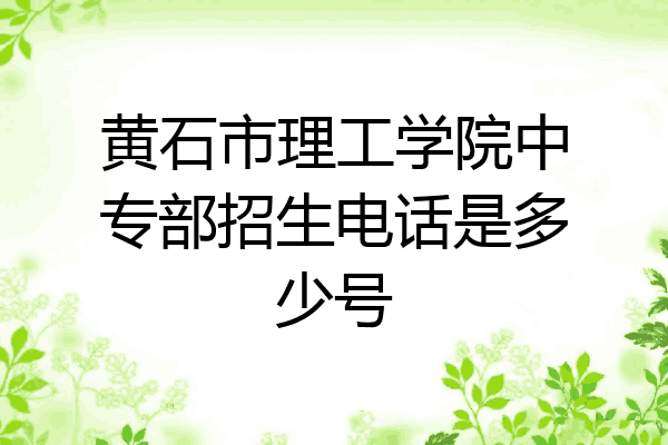 黄石市理工学院中专部招生电话是多少号