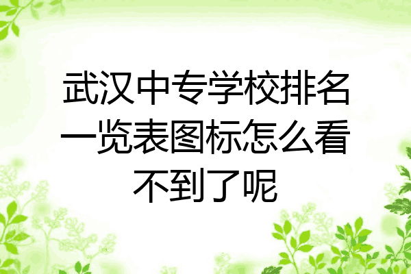 武汉中专学校排名一览表图标怎么看不到了呢