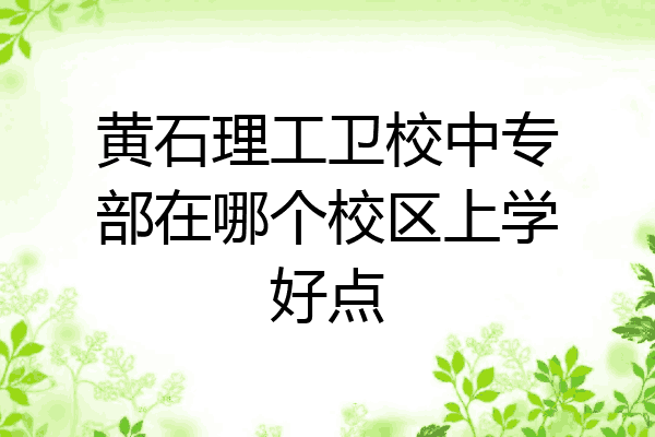 黄石理工卫校中专部在哪个校区上学好点