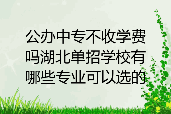 公办中专不收学费吗湖北单招学校有哪些专业可以选的