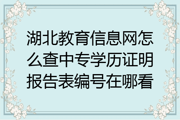 湖北教育信息网怎么查中专学历证明报告表编号在哪看