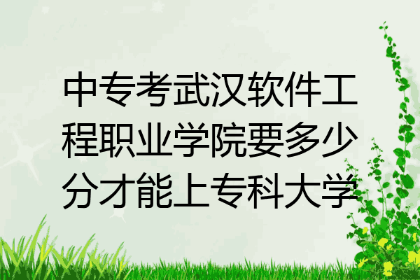 中专考武汉软件工程职业学院要多少分才能上专科大学