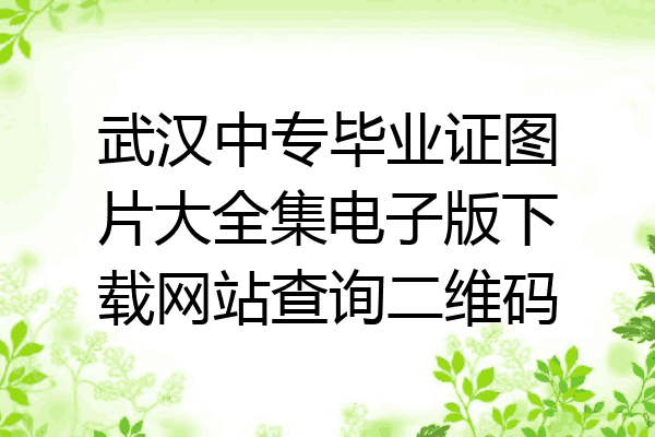 武汉中专毕业证图片大全集电子版下载网站查询二维码